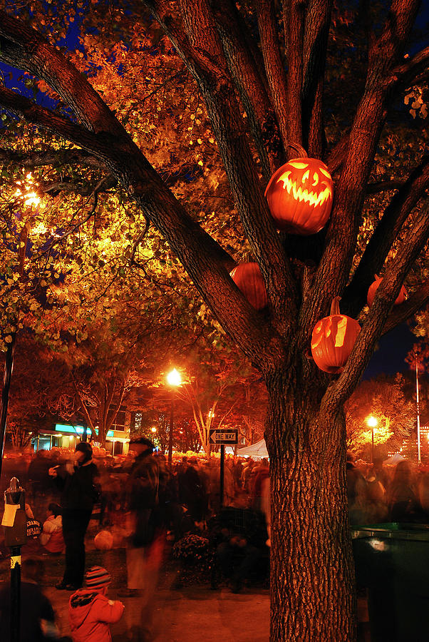 Halloween Tree Photograph by James Kirkikis