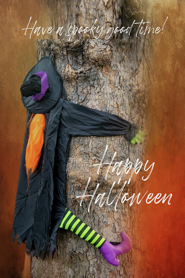 Halloween Witch Digital Art by Terry Davis