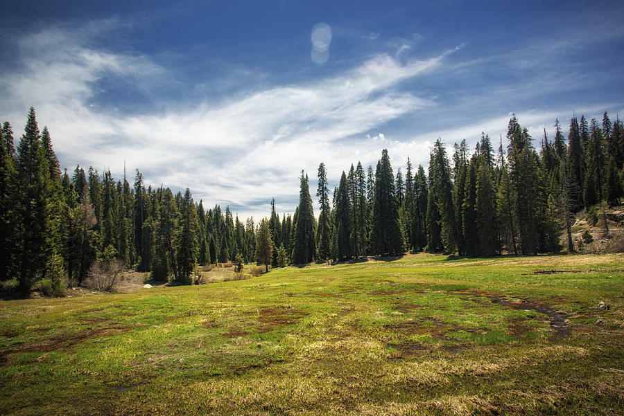 Halstead Meadow in Spring Photograph by Highlywood Photography