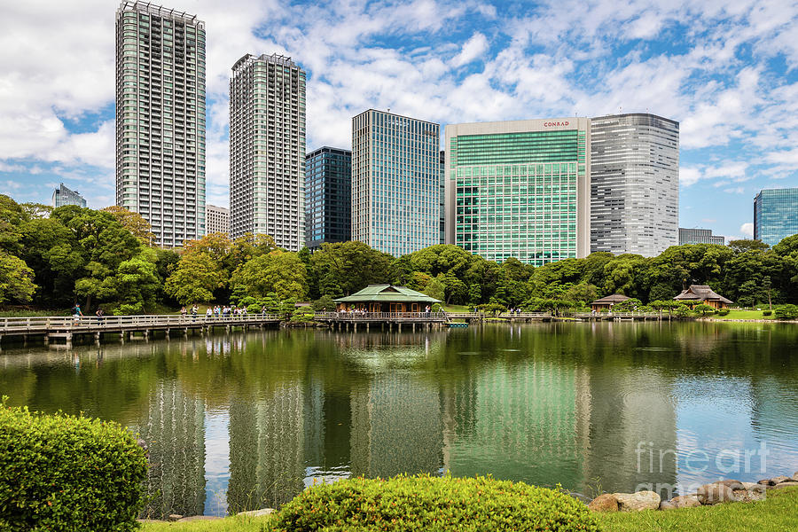 Hama Rikyu gardens, Tokyo - contrast Photograph by Lyl Dil Creations