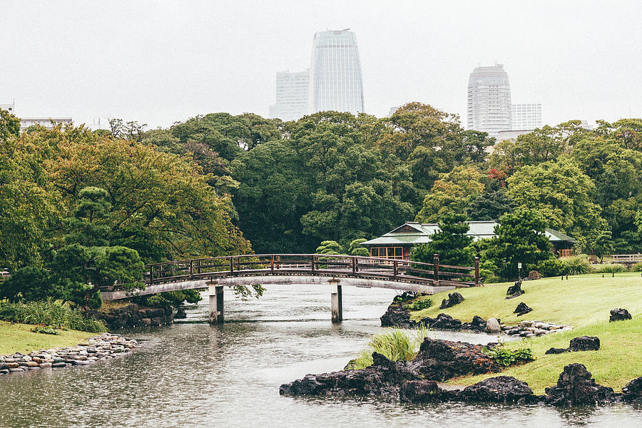 Hamarikyu Gardens Photograph By Yolene Dabreteau