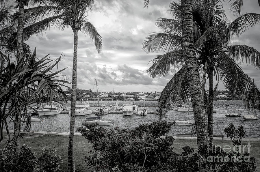 Hamilton Bermuda Harbor Black and White Photograph by Luther Fine Art