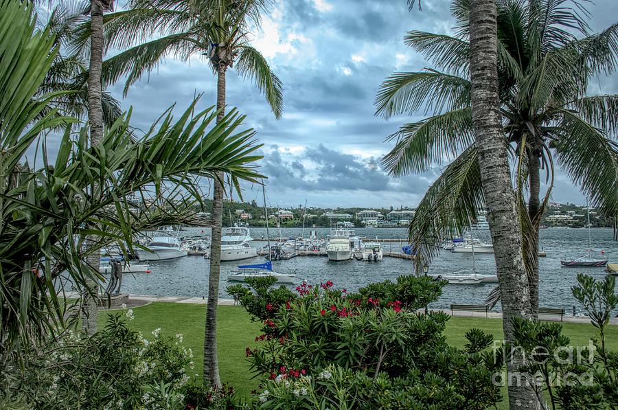 Hamilton Bermuda Harbor Photograph by Luther Fine Art