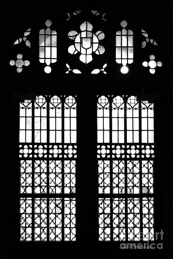 Hamilton College Johnson Hall Window Photograph by University Icons