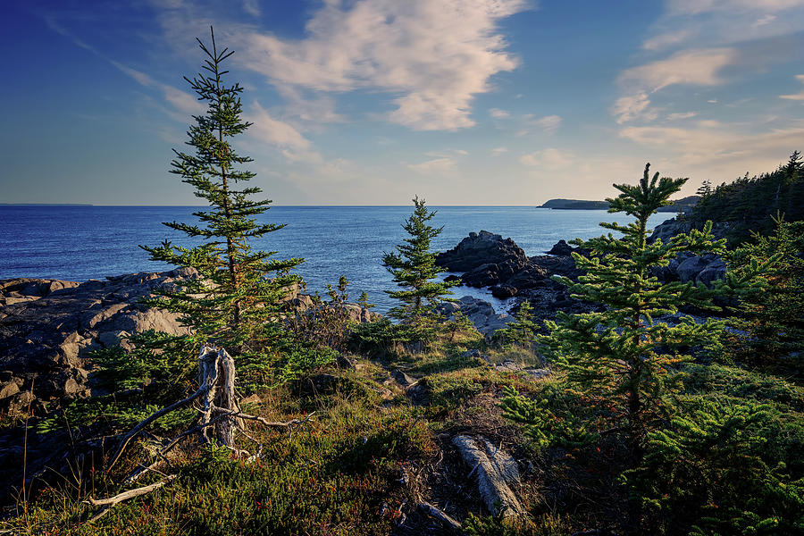 Hamilton Cove Photograph By Rick Berk Fine Art America 5438