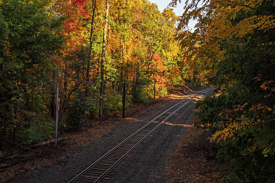 Hamilton Massachusetts Fall Foliage Train Tracks Photograph by Toby McGuire