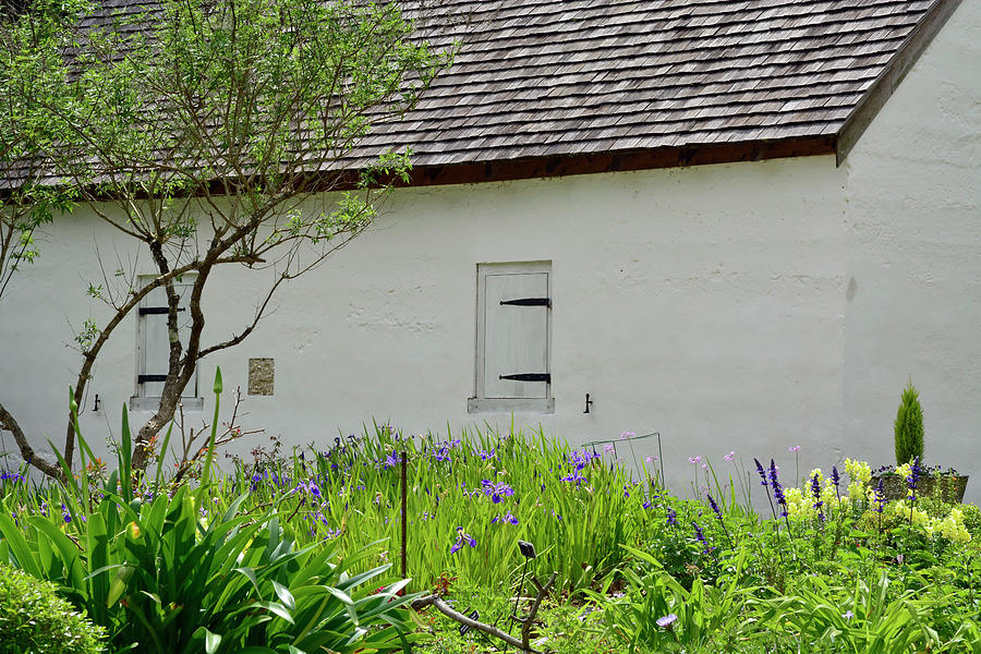 Hamilton Plantation Slave Cabin St. Simons Island Photograph by Bruce Gourley Hamilton Plantation Slave Cabin St. Simons Island Photograph by Bruce Gourley