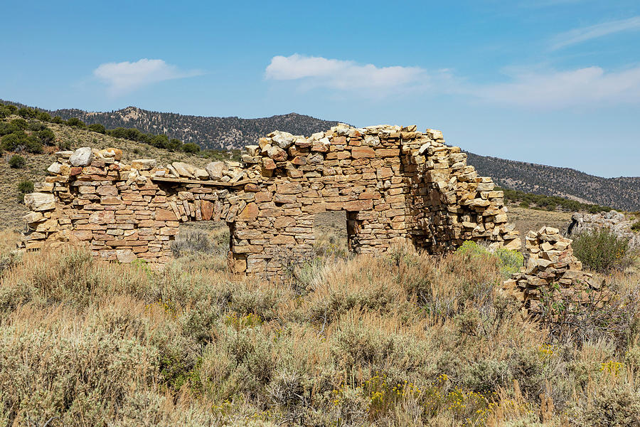 Hamilton Ruins Photograph by James Marvin Phelps - Fine Art America