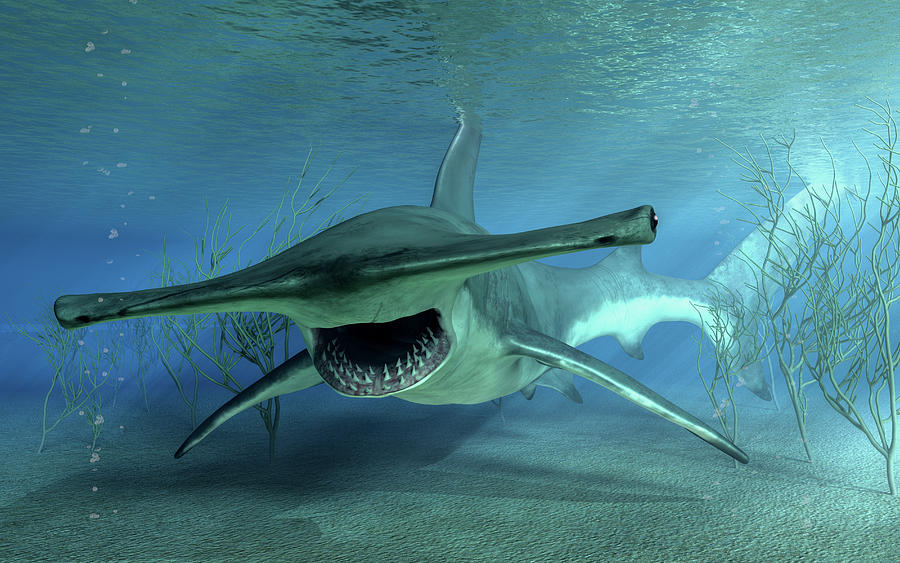 Hammerhead Shark Attack Digital Art by Daniel Eskridge