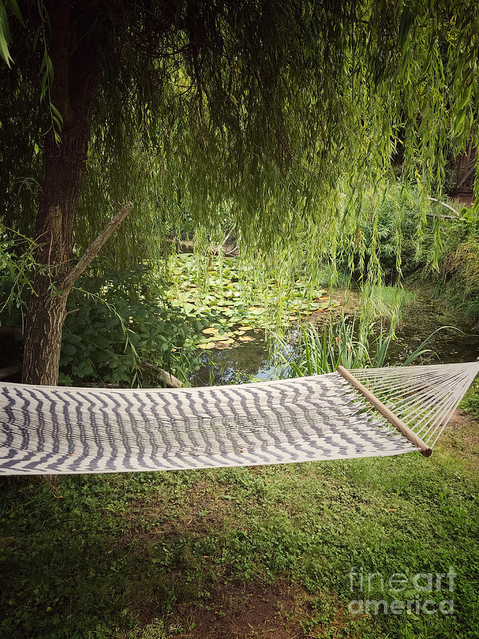 Hammock By The Pond Photograph by Maria Janicki