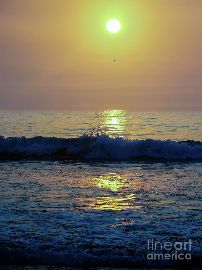 Hampton Beach Sunshine Photograph by Eunice Miller