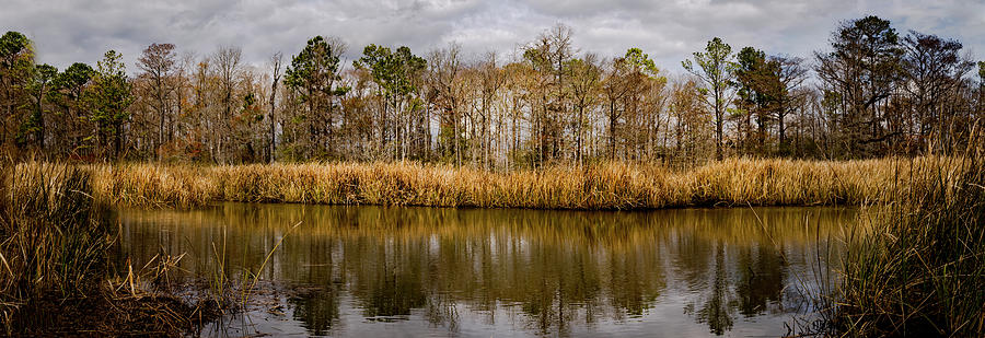 Georgetown University Photograph - Hampton Plantation Creek by Norma Brandsberg