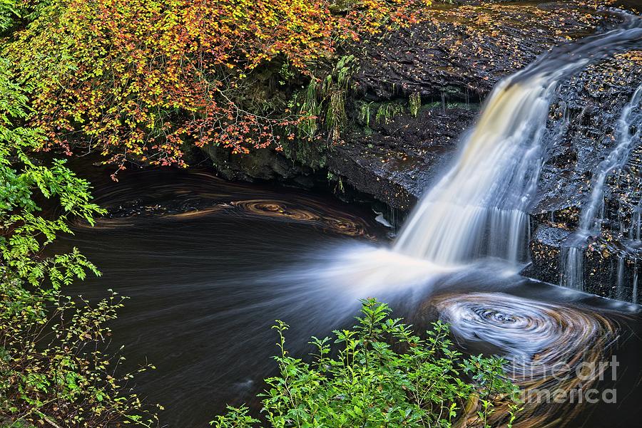 Hamsterley Forest Waterfall Photograph by Martyn Arnold