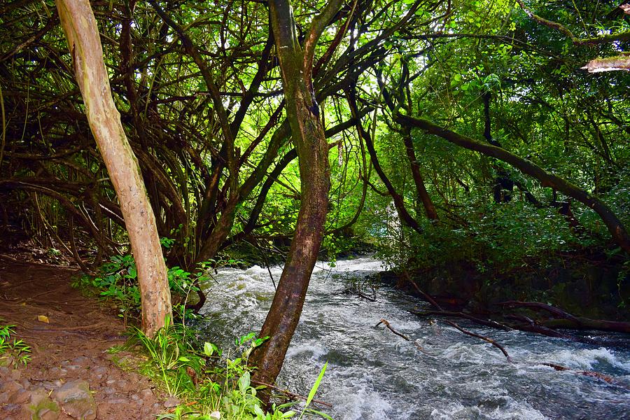 Hoolawa Water stream, Maui,Hana Photograph by Bnte Creations