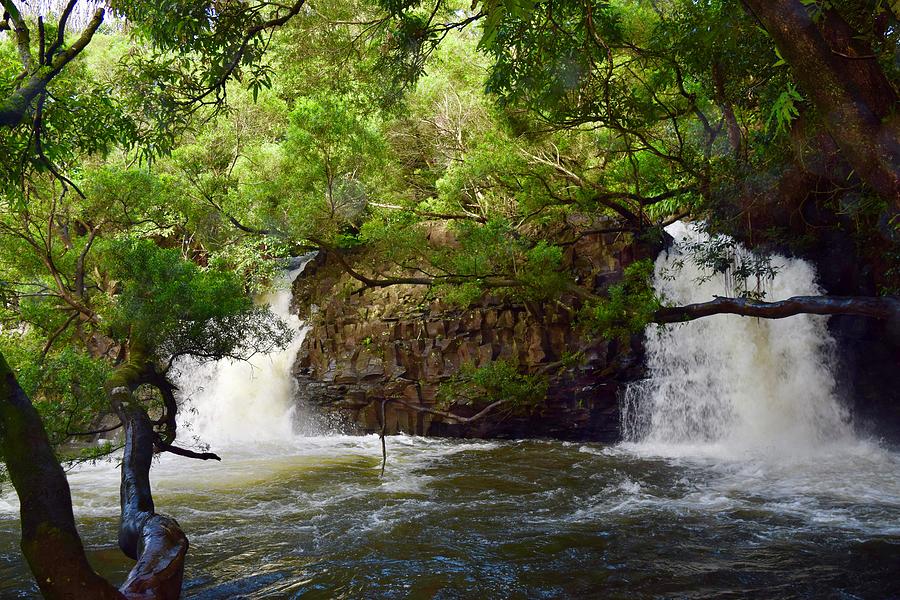 Twin Falls, Hana, Maui Photograph by Bnte Creations