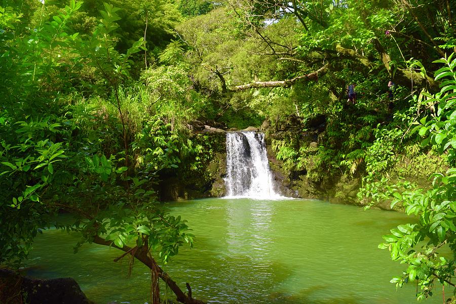 Waikamoi Falls,Hana, Maui Photograph by Bnte Creations