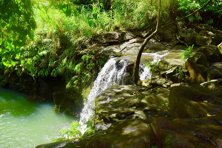 Waikamoi Falls Upper stream,Hana,Maui Photograph by Bnte Creations