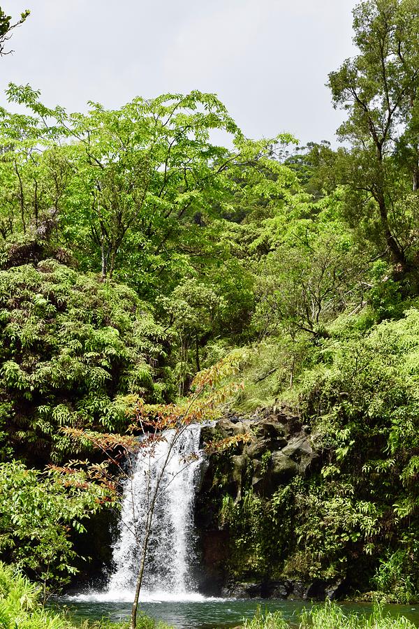 Puaa Kaa State Wayside Park ,Hana,Maui Photograph by Bnte Creations