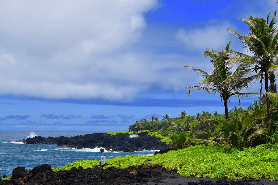 Waianapanapa sea arc and blowhole,Hana,Maui Photograph by Bnte Creations