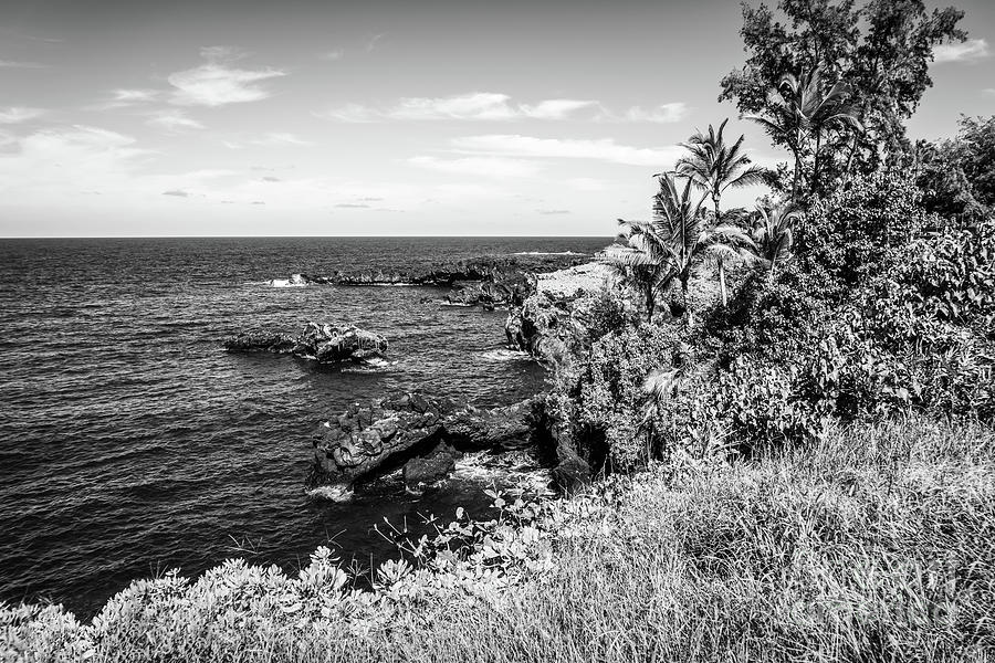 Hana Maui Hawaii Kuaiwa Point Black and White Photo Photograph by Paul ...