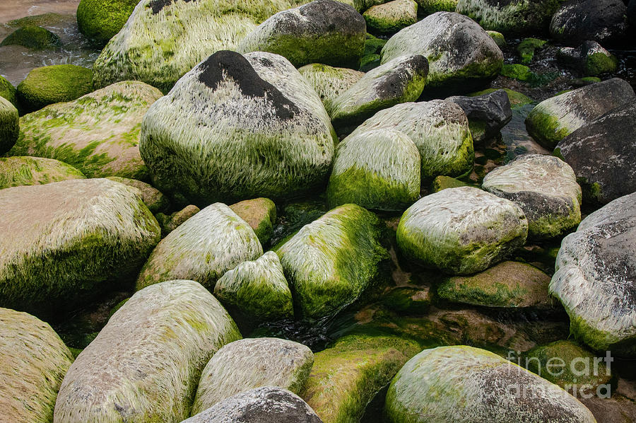 Hanakapiai Beach Stones One Photograph by Bob Phillips