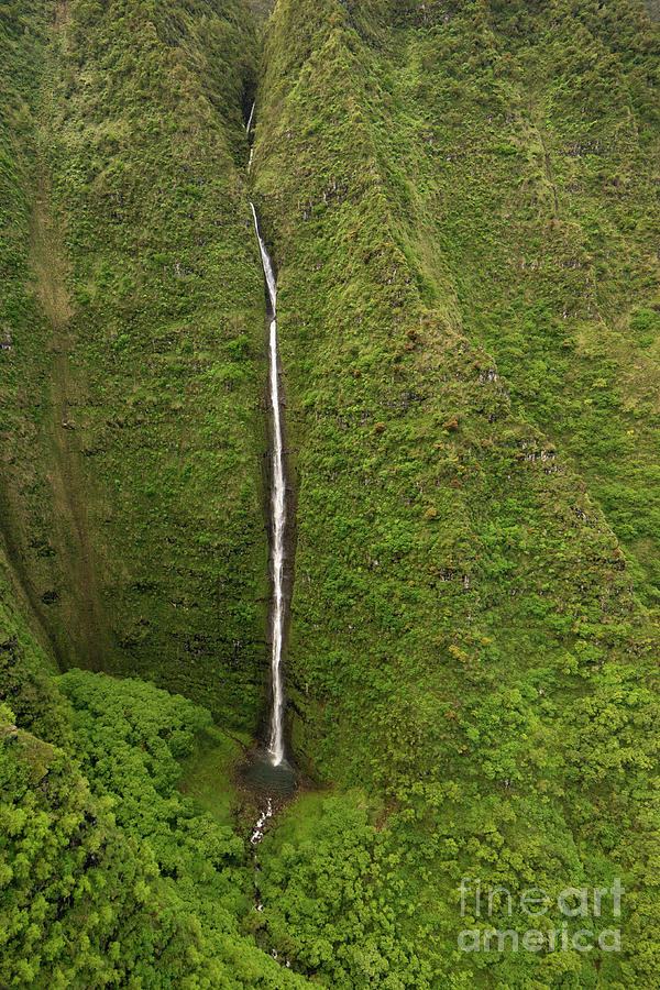 Tree Photograph - Hanakoa Falls in NaPali Coast State Park of Kauai, Hawaii by Nancy Gleason