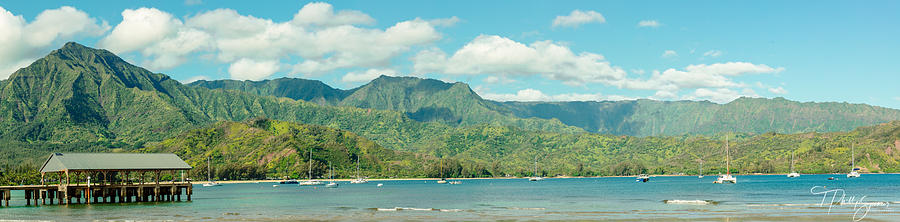 Hanalei Morning Photograph by T Phillip Spencer