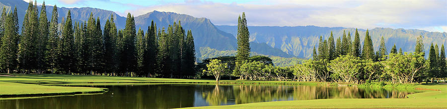 Golf Photograph - Hanalei Morning by Tony Spencer