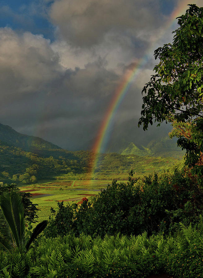 Nature Photograph - Hanalei Valley Rainbow by Stephen Vecchiotti