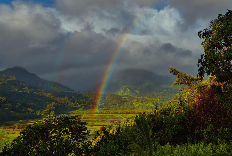 Hanalei Valley Rainbows Photograph by Stephen Vecchiotti - Pixels