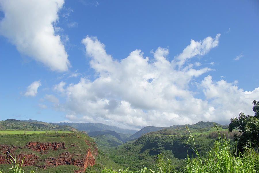 Hanapepe Valley Overlook in Hawaii Photograph by Auden Johnson