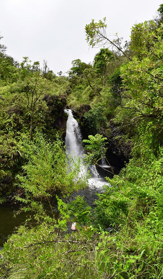Hanawi Upper Falls, Hana,Maui Photograph by Bnte Creations