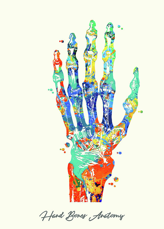 Hand Bones Anatomy Digital Art by Gambrel Temple - Fine Art America