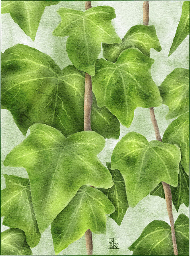 Hand-Drawn Ivy Leaves Wall Art A Botanical Masterpiece Digital Art by Snow Iris Studio Hand-Drawn Ivy Leaves Wall Art A Botanical Masterpiece Digital Art by Snow Iris Studio