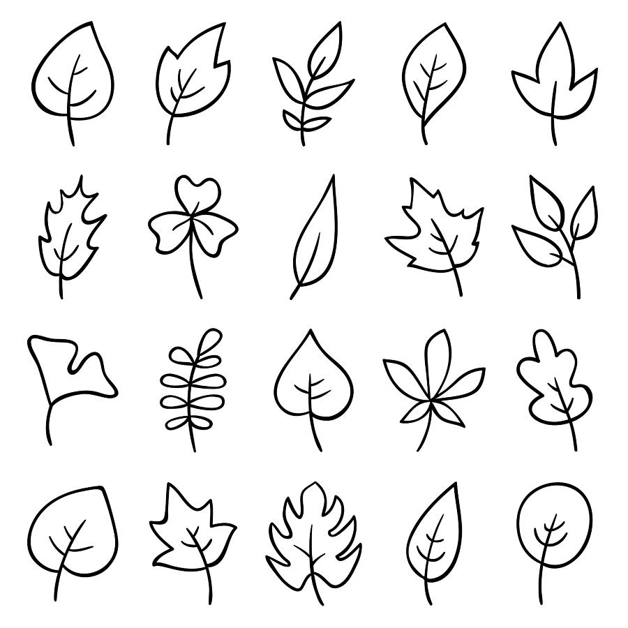 Hand drawn leaves Drawing by Ulimi