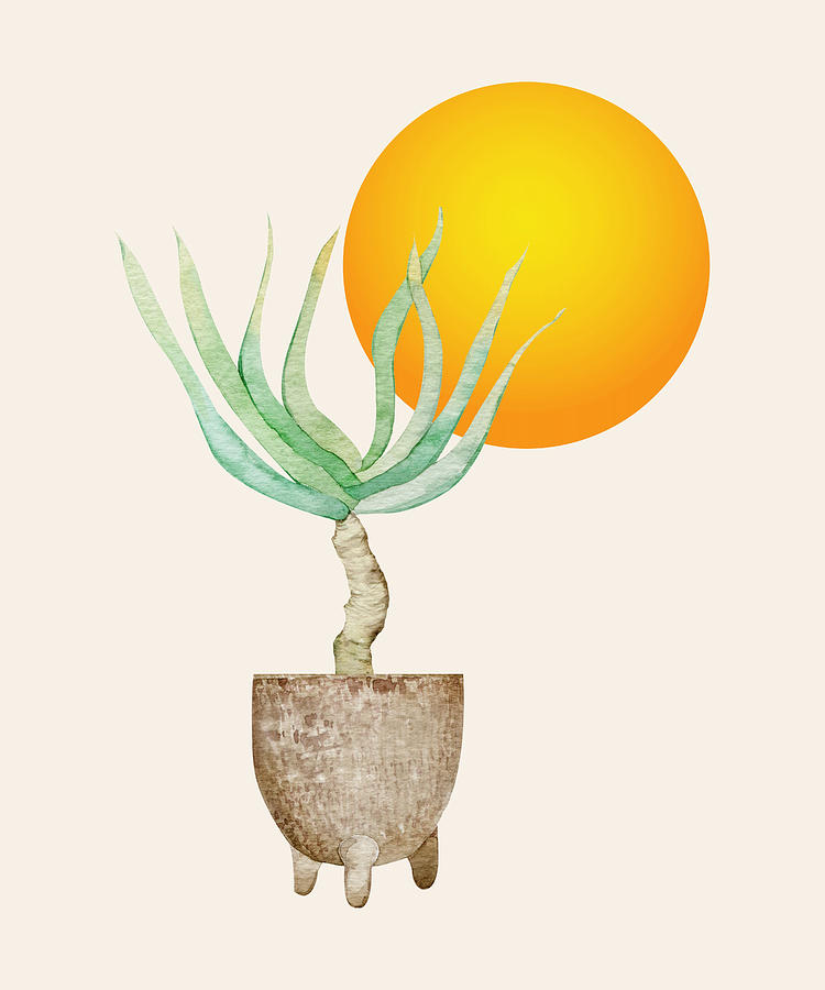 Nature Digital Art - Hand Drawn Set, Bohemian Pot Of Aloe, sunshine, minimal potted plants, No 01 by Mounir Khalfouf