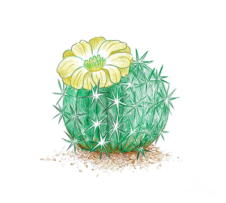 Cactus Plant Sketch Art Print by Emily DeSantis | Society6
