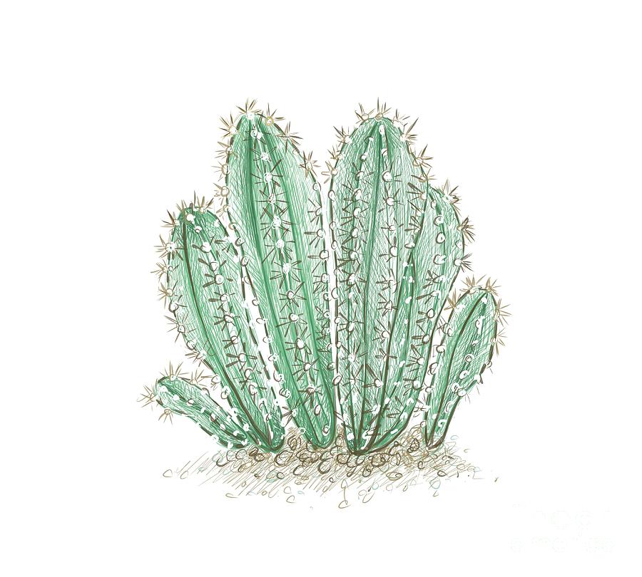 Plant PNG Images, Hand Painted Cartoon, Flowers PNG Transparent Background  - Pngtree | Succulent art, Cactus art, Cactus drawing