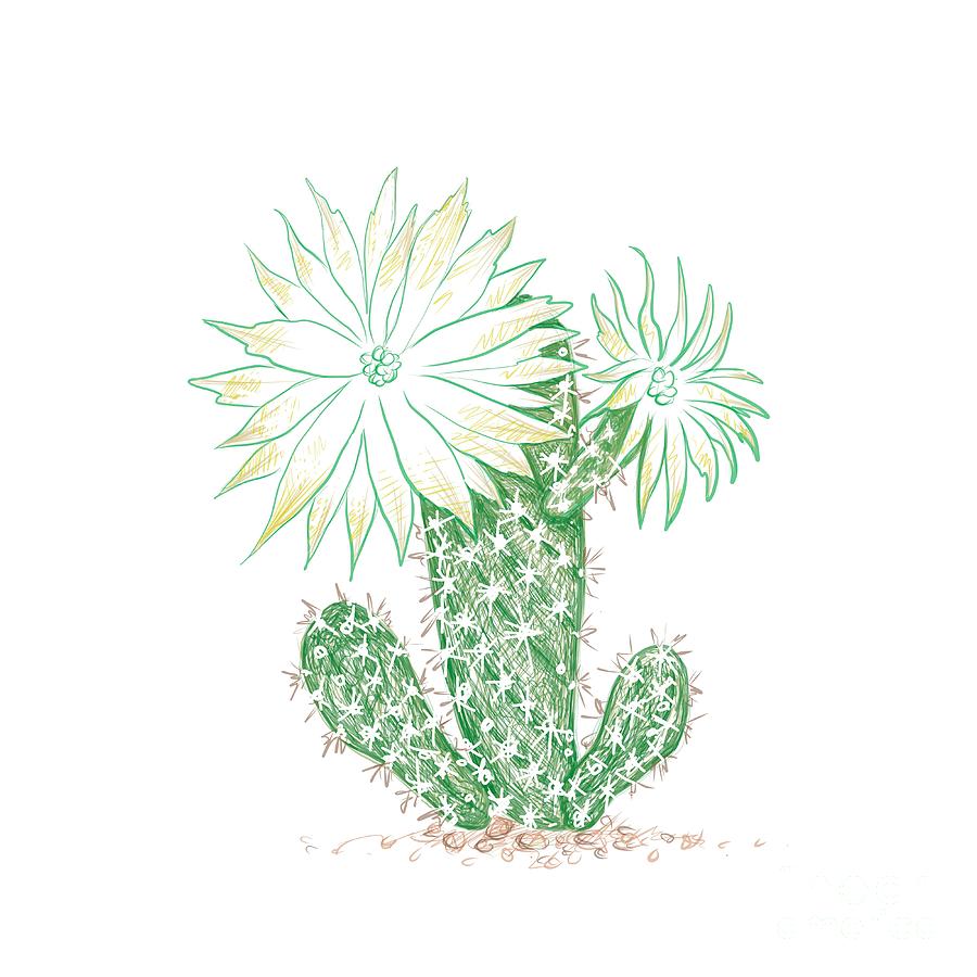 desert cactus | Desert drawing, Cactus drawing, Cactus paintings