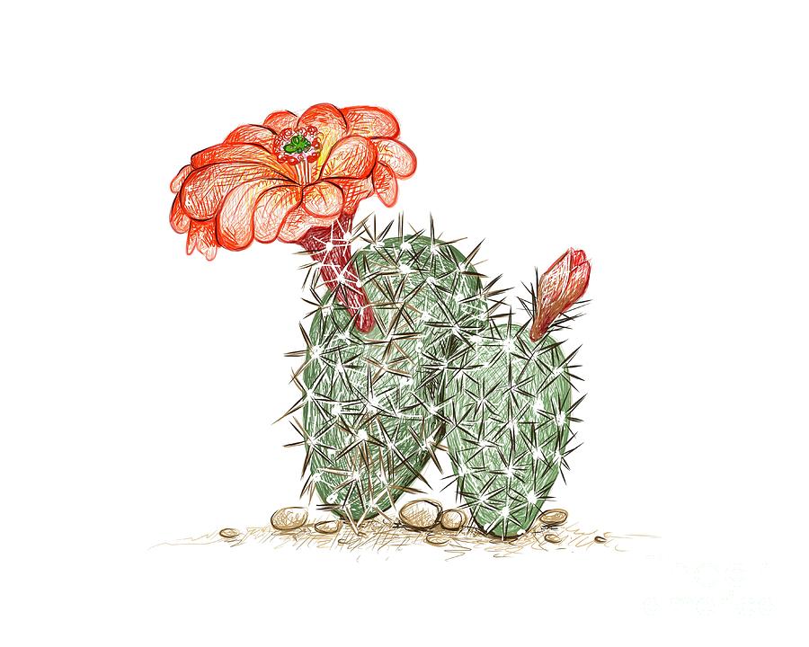 Cactus plant sketch hand drawn Royalty Free Vector Image