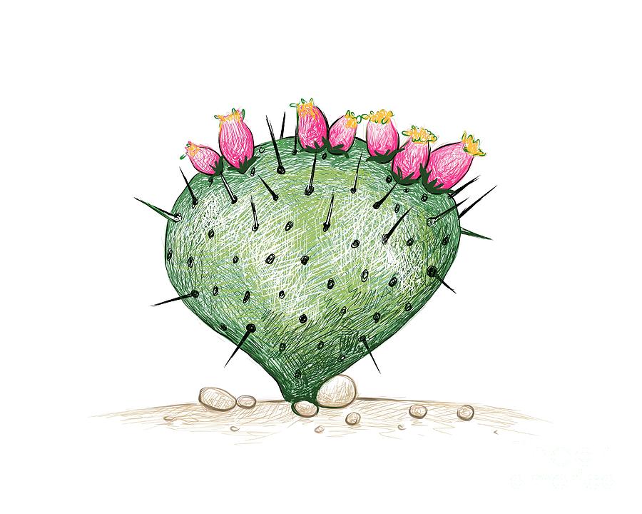 line nature desert cactus plant in the flowerpot Stock Vector Image & Art -  Alamy