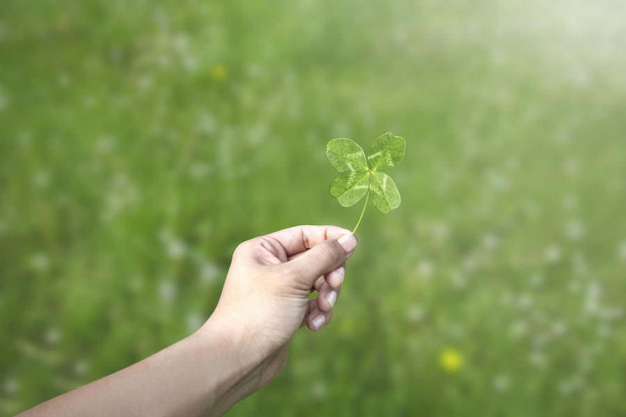 Hand holding a four leaf clover in a green field Photograph by Paper Boat Creative