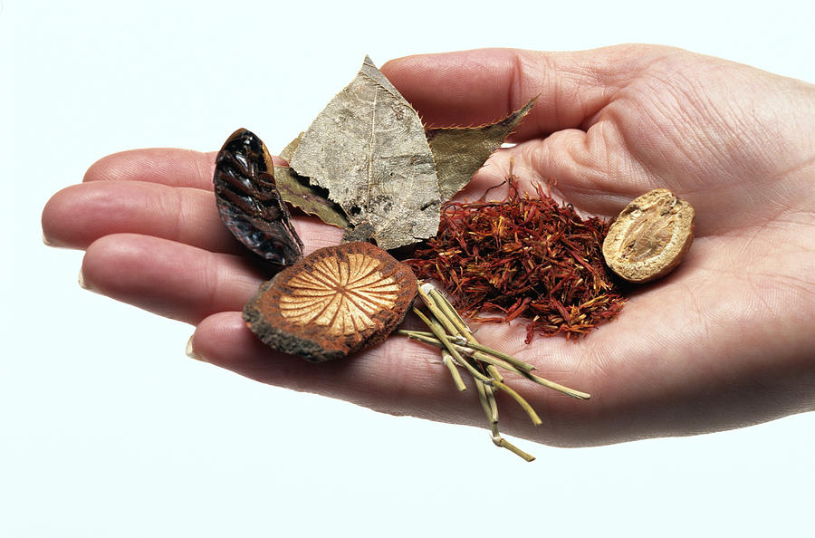 Hand Holding Herbal Remedies Photograph by Keith Brofsky
