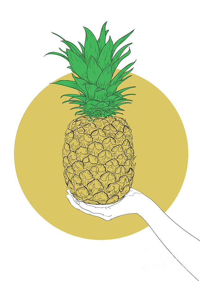 Hand Holding Pineapple - Line Art Graphic Illustration Artwork Digital Art by Sambel Pedes