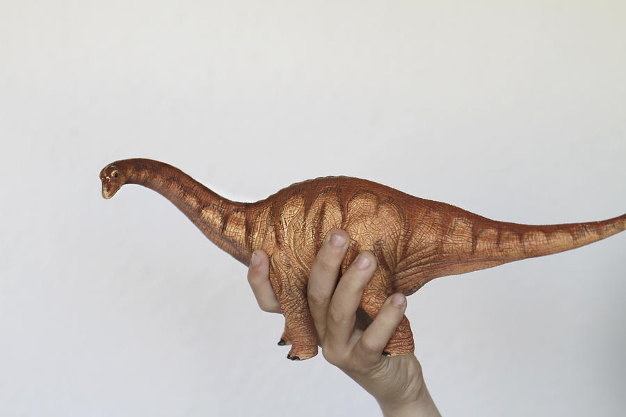 Hand holding toy dinosaur Photograph by Isabel Pavia