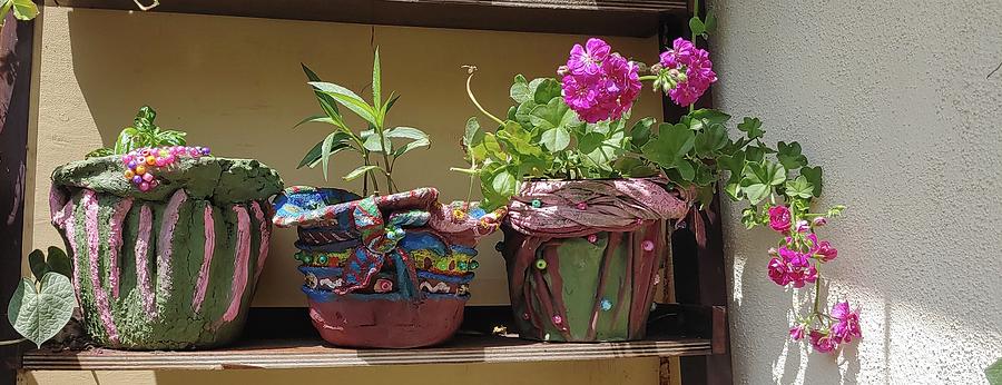 Hand Made Pots With Plants Painting