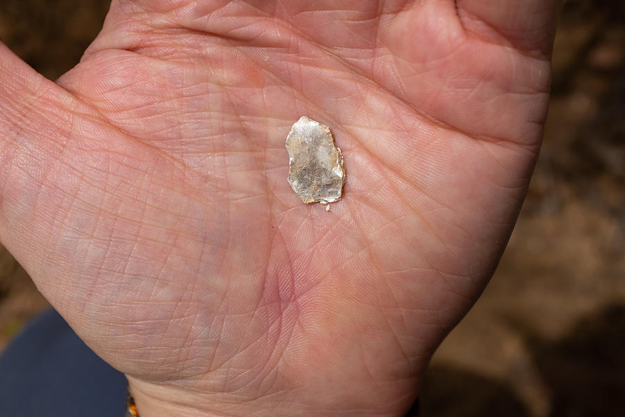 Hand of White Man Holding a Piece of a Mineral Mica Photograph by Alexandre Morin-Laprise