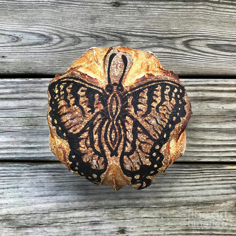 Hand Painted Dragonfly and Butterfly Sourdough 2 Photograph by Amy E Fraser