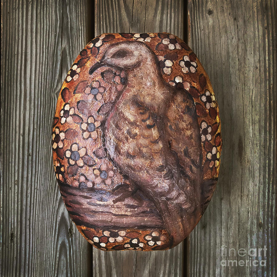 Hand Painted Mourning Dove Sourdough 2 Photograph by Amy E Fraser