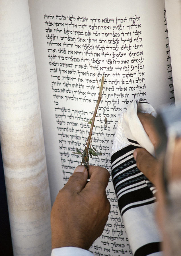 Hand pointing twig at Torah, close-up Photograph by Marie Docher